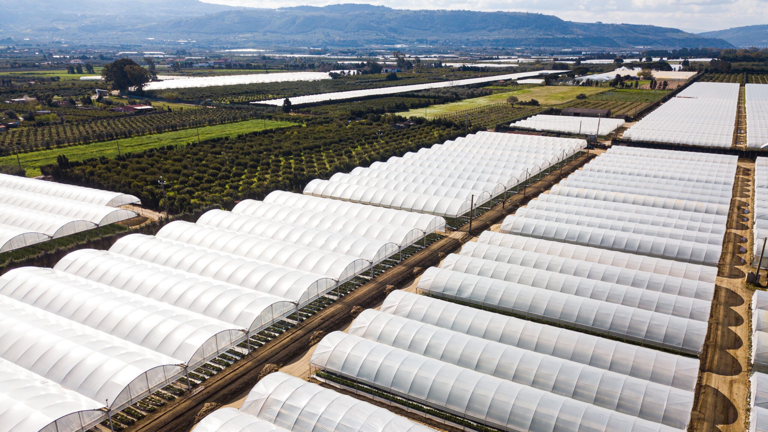 Agrofilm Lirsa_Arrigoni 1|Agrofilm Lirsa_Arrigoni